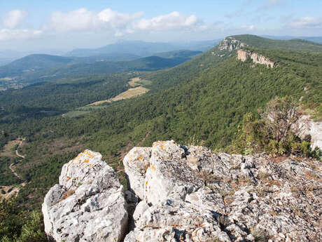 Randonnée d'observation de la nature au sommet des Barres de Cuers