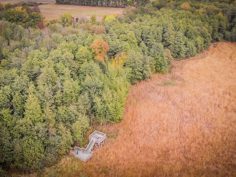 Marais des Bidonnes, ENS de l'Ain