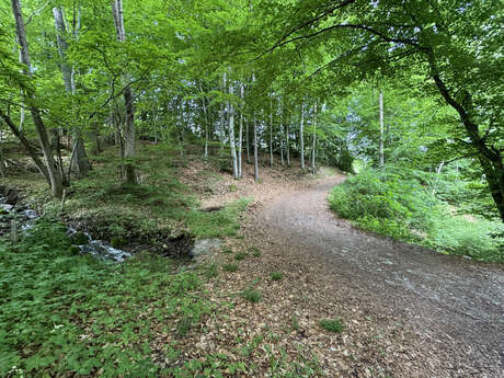 Vers la plaine de Chabottes