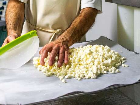 Les Ateliers : fabrication de fromage ou de beurre