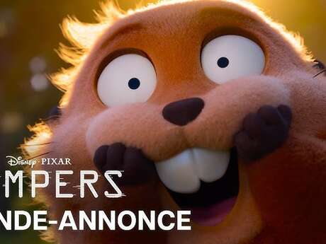 Jumpers - Cinéma de Pays