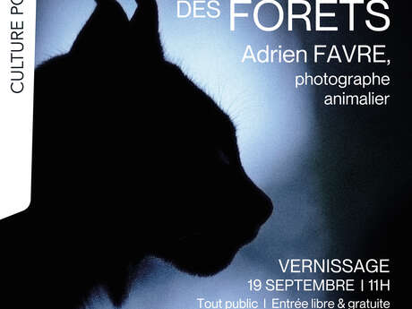 Exposition photo : Le temps des forêts