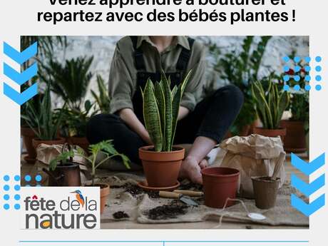 Vos bibliothécaires ont du talent : Marine et les boutures