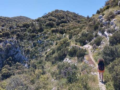MAUBEC - La draille des frères Nouguier