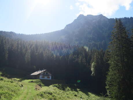 Randonnée pédestre : le lac du Fouyet