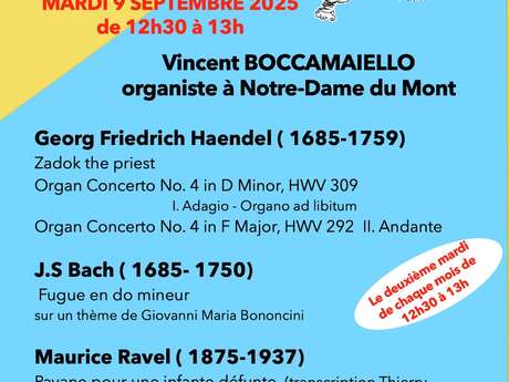 Les Auditions du marché : concerts d'orgue