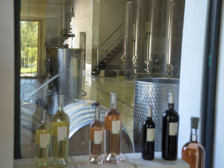 Secret de vinification au Domaine de Belambrée