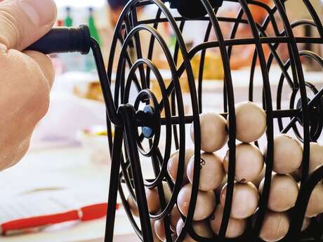 Lotos du mois de mars 2026