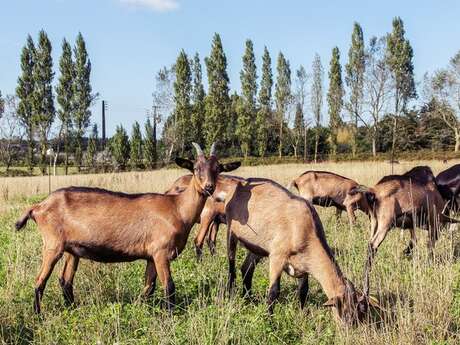 La ferme Bion'heureux