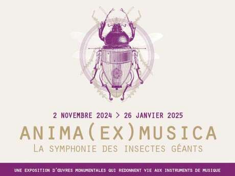 Anima(ex)musica