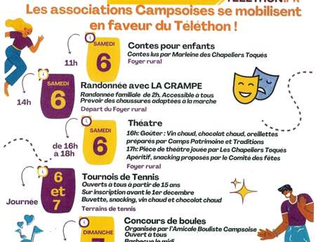 Concours sportifs, randonnée, spectacles, concert | Téléthon