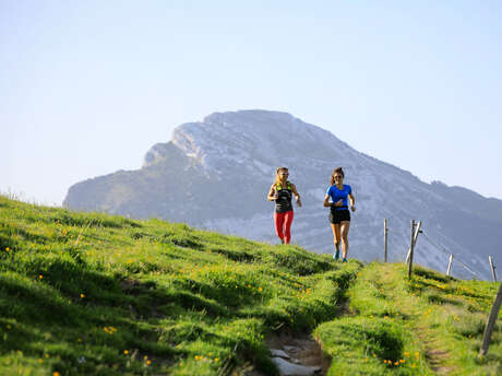 Col de Porte - Le Mauchon