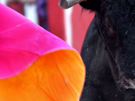 Easter Feria in the arena