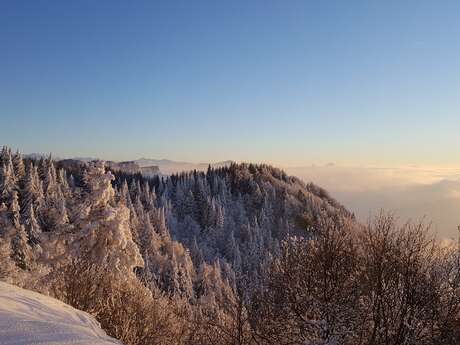 Rando raquettes : la Croix du Nivolet depuis le Sire