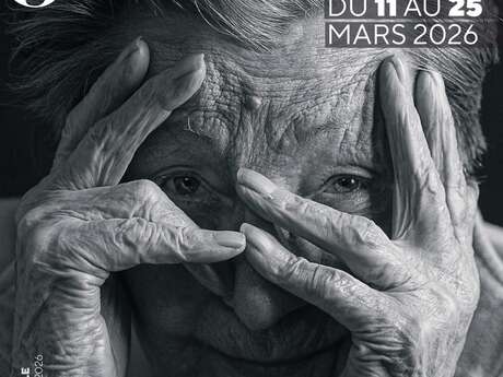 Exhibition - "I see you"