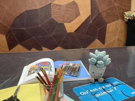 Workshop (8–12 y/o): The Philosophical Stonecrop