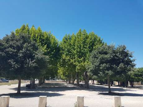 Boulodrome d'Eygalières
