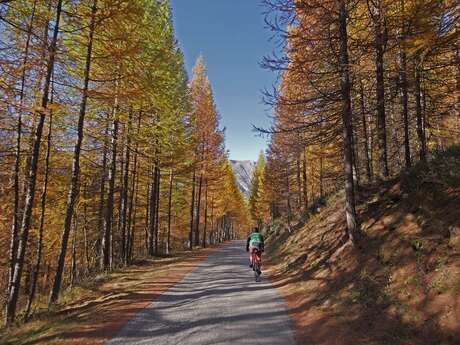 Initiation Gravel - La "matinale"