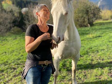 Ateliers "Découvrir le cheval autrement"