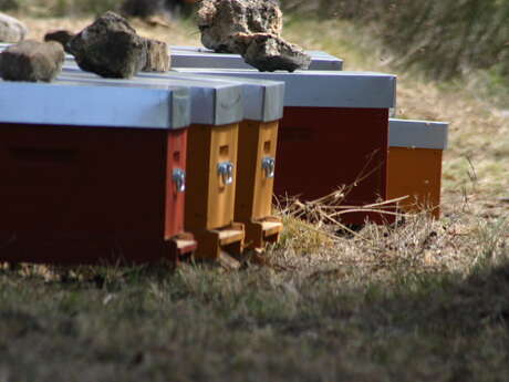 Ferme Les Vergelins - La Gabinoille