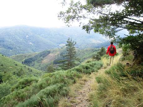 Les voies de nos Ancêtres
