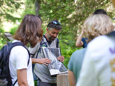 Visite guidée du sentier des Arpelières - animaux des tourbières