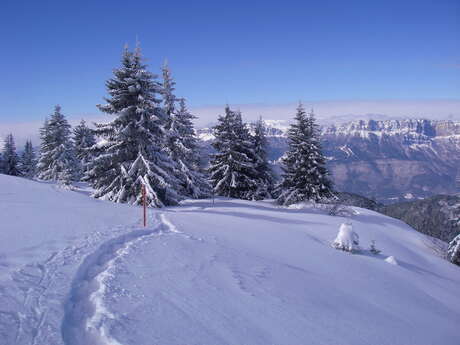 Crêt du Poulet snowshoe trail