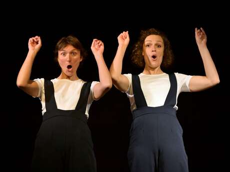 Théâtre - Madame Bovary en plus drôle et moins long