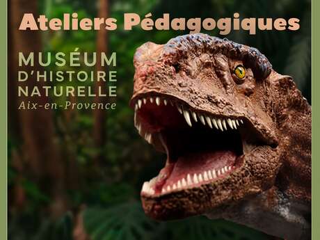 Ateliers pédagogiques au Muséum - Vacances de Printemps