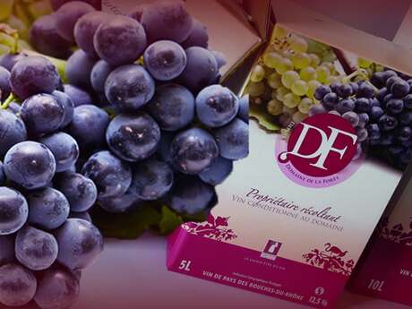 Domaine de la Forêt