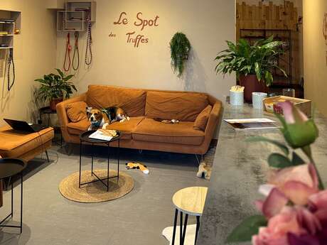 Le Spot des Truffes