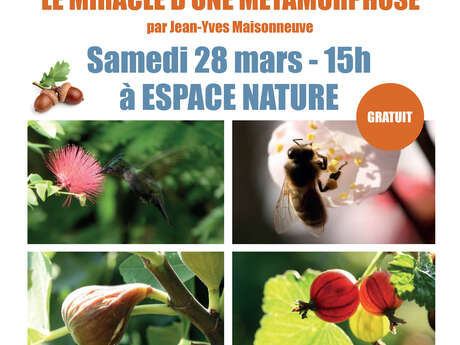 Visite : De la fleur au fruit : le miracle d'une métamorphose