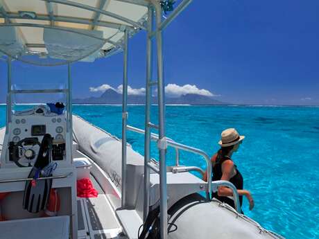 Fluid - Whale watching tours