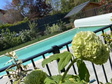 Une Pause au Vert - T2