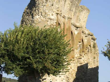 Visites guidées du Prieuré et du village de Saint-André-de-Rosans