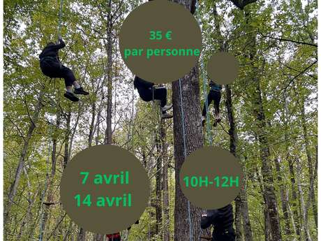 Découverte grimpe d'Arbre