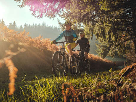 N° 8 - Le Bois des Ardilliers