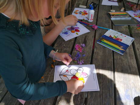 Atelier Herbier de plantes médicinales