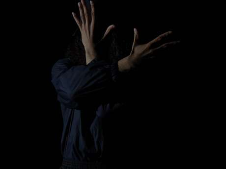 VENDETTA "Hip-Hop danse contemporaine, texte et musique"