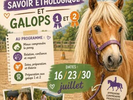 Preparation Course for Ethology and Galops 1 and 2