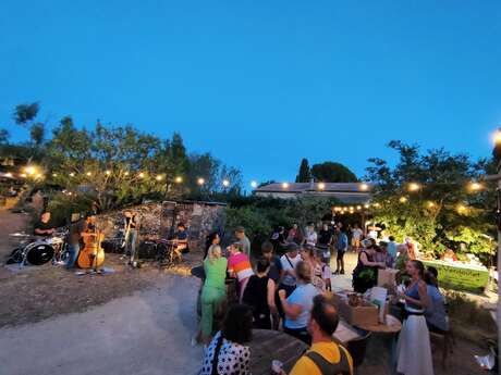 Sommerabend im Naturoptère