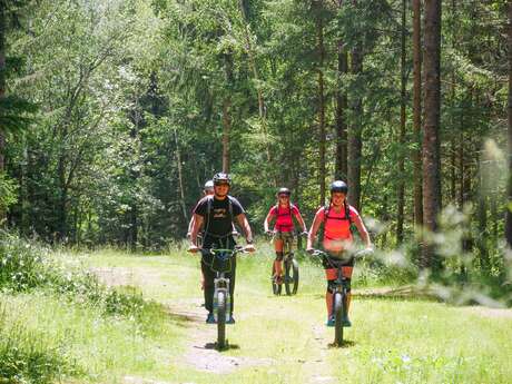 Trottinette électrique - Evolution 2