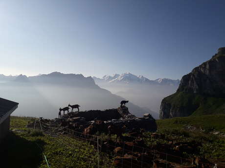 Ferme La Poya