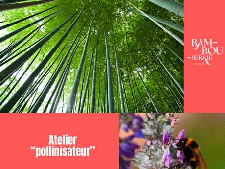 Atelier pollinisateur