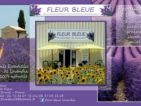 Fleur Bleue