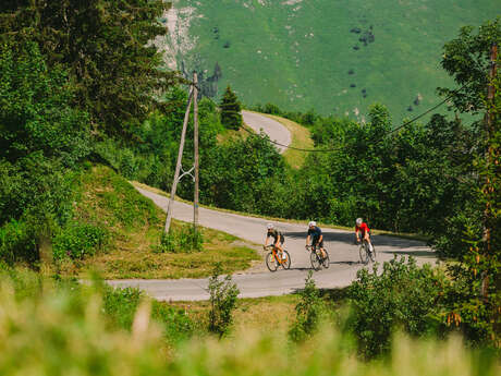 Joux Verte col