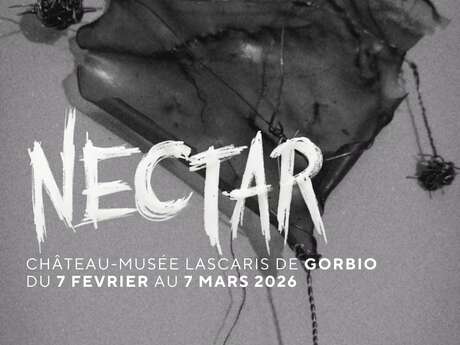 Installation Nectar -  Château-Musée Lascaris - Gorbio