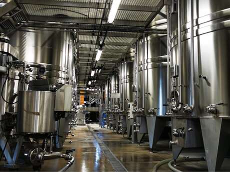 Visite & dégustation au caveau de Saint Romain