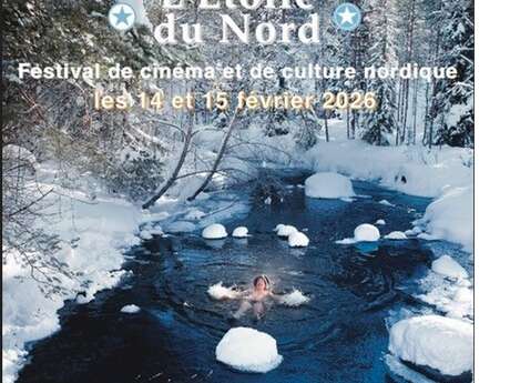 Festival de cinéma nordique