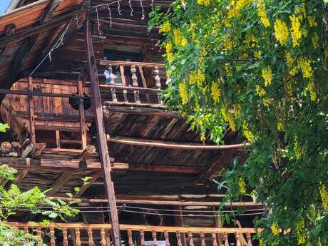 Les petits explorateurs et les maisons fustes